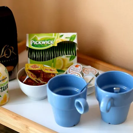 Cozy At Metro Station, Private Bathroom, 9minutes Oldtown, 15minutes Airport, Wifi בית אירוח פראג