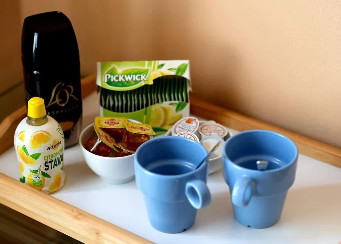Cozy At Metro Station, Private Bathroom, 9minutes Oldtown, 15minutes Airport, Wifi Alloggio in famiglia Praga